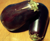 Manufacturers Exporters and Wholesale Suppliers of Brinjal Hybrid Seeds Hyderabad Andhra Pradesh